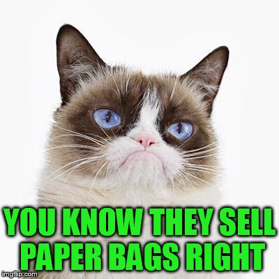 YOU KNOW THEY SELL PAPER BAGS RIGHT | made w/ Imgflip meme maker