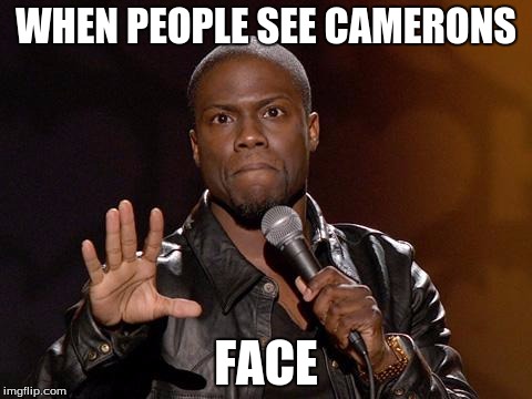 kevin hart | WHEN PEOPLE SEE CAMERONS; FACE | image tagged in kevin hart | made w/ Imgflip meme maker