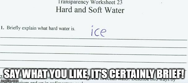 in this case, what is soft water? | SAY WHAT YOU LIKE, IT'S CERTAINLY BRIEF! | image tagged in memes,funny | made w/ Imgflip meme maker