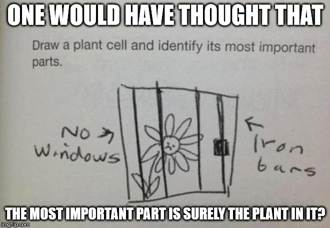 The other kind of cell. | ONE WOULD HAVE THOUGHT THAT; THE MOST IMPORTANT PART IS SURELY THE PLANT IN IT? | image tagged in memes,funny | made w/ Imgflip meme maker