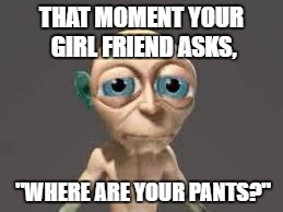 THAT MOMENT YOUR GIRL FRIEND ASKS, "WHERE ARE YOUR PANTS?" | image tagged in memes | made w/ Imgflip meme maker