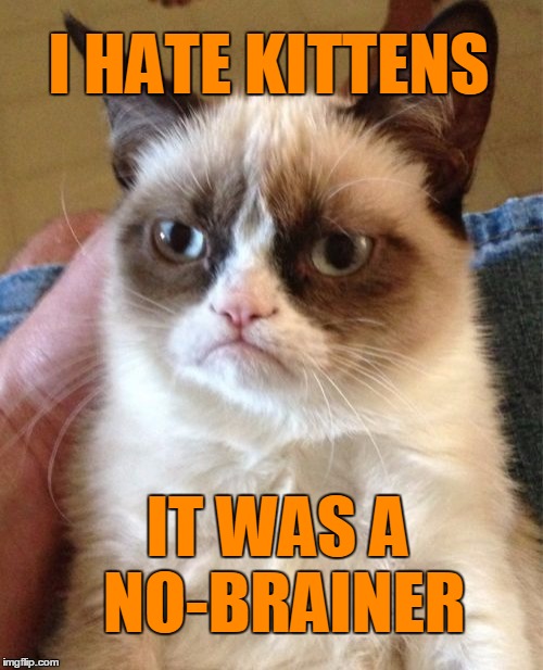 Grumpy Cat Meme | I HATE KITTENS IT WAS A NO-BRAINER | image tagged in memes,grumpy cat | made w/ Imgflip meme maker