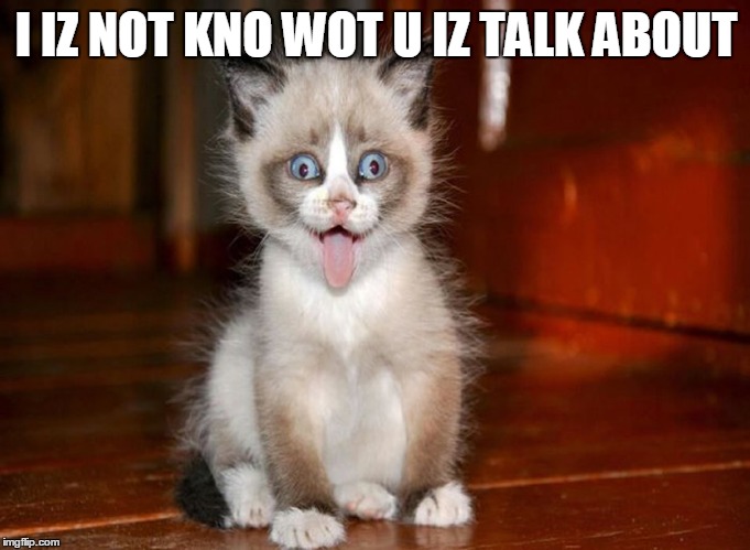 I IZ NOT KNO WOT U IZ TALK ABOUT | made w/ Imgflip meme maker