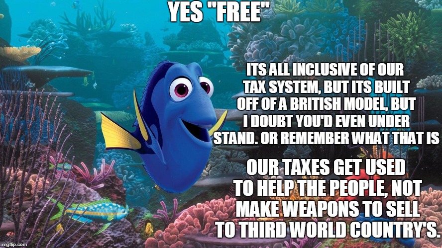 dori who | YES "FREE" ITS ALL INCLUSIVE OF OUR TAX SYSTEM, BUT ITS BUILT OFF OF A BRITISH MODEL, BUT I DOUBT YOU'D EVEN UNDER STAND. OR REMEMBER WHAT T | image tagged in dori who | made w/ Imgflip meme maker