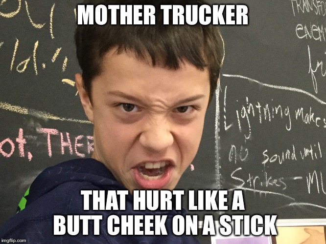 Cameron Lott asphalt 8 | MOTHER TRUCKER; THAT HURT LIKE A BUTT CHEEK ON A STICK | image tagged in funny | made w/ Imgflip meme maker