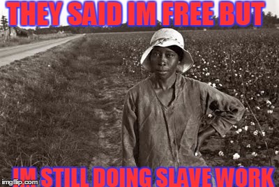 THEY SAID IM FREE BUT; IM STILL DOING SLAVE WORK | image tagged in im still broke | made w/ Imgflip meme maker