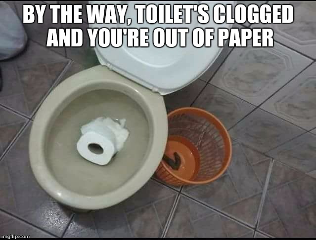 BY THE WAY, TOILET'S CLOGGED AND YOU'RE OUT OF PAPER | image tagged in toilet paper,toilet,toilet humor | made w/ Imgflip meme maker