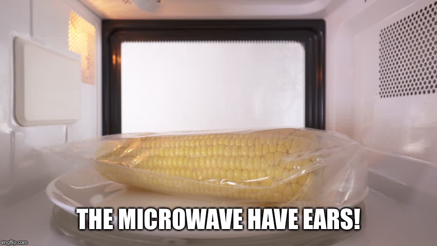 THE MICROWAVE HAVE EARS! | made w/ Imgflip meme maker