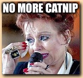 NO MORE CATNIP | made w/ Imgflip meme maker