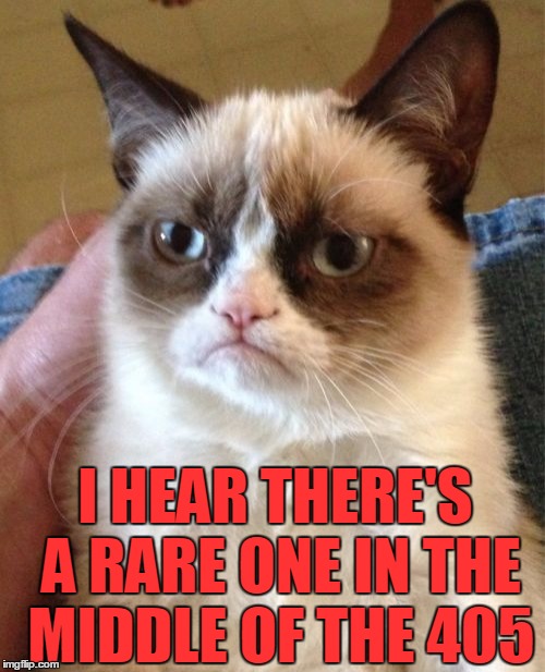 Grumpy Cat Meme | I HEAR THERE'S A RARE ONE IN THE MIDDLE OF THE 405 | image tagged in memes,grumpy cat | made w/ Imgflip meme maker