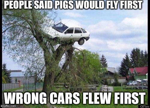 Secure Parking | PEOPLE SAID PIGS WOULD FLY FIRST; WRONG CARS FLEW FIRST | image tagged in memes,secure parking | made w/ Imgflip meme maker