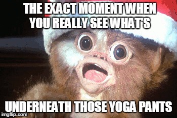 surprise yoga pants | THE EXACT MOMENT WHEN YOU REALLY SEE WHAT'S; UNDERNEATH THOSE YOGA PANTS | image tagged in yogapants,surprise,new,gizmo | made w/ Imgflip meme maker