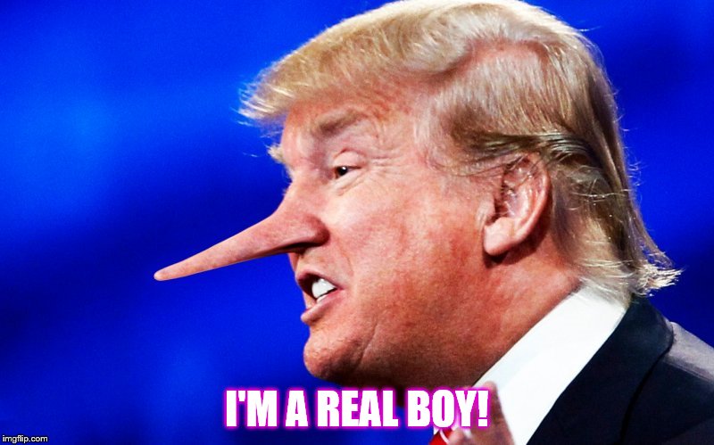 PINNOCHIO LIKE | I'M A REAL BOY! | image tagged in walt disney,liar liar pants on fire,not my president,american politics,funny memes,donald trump | made w/ Imgflip meme maker