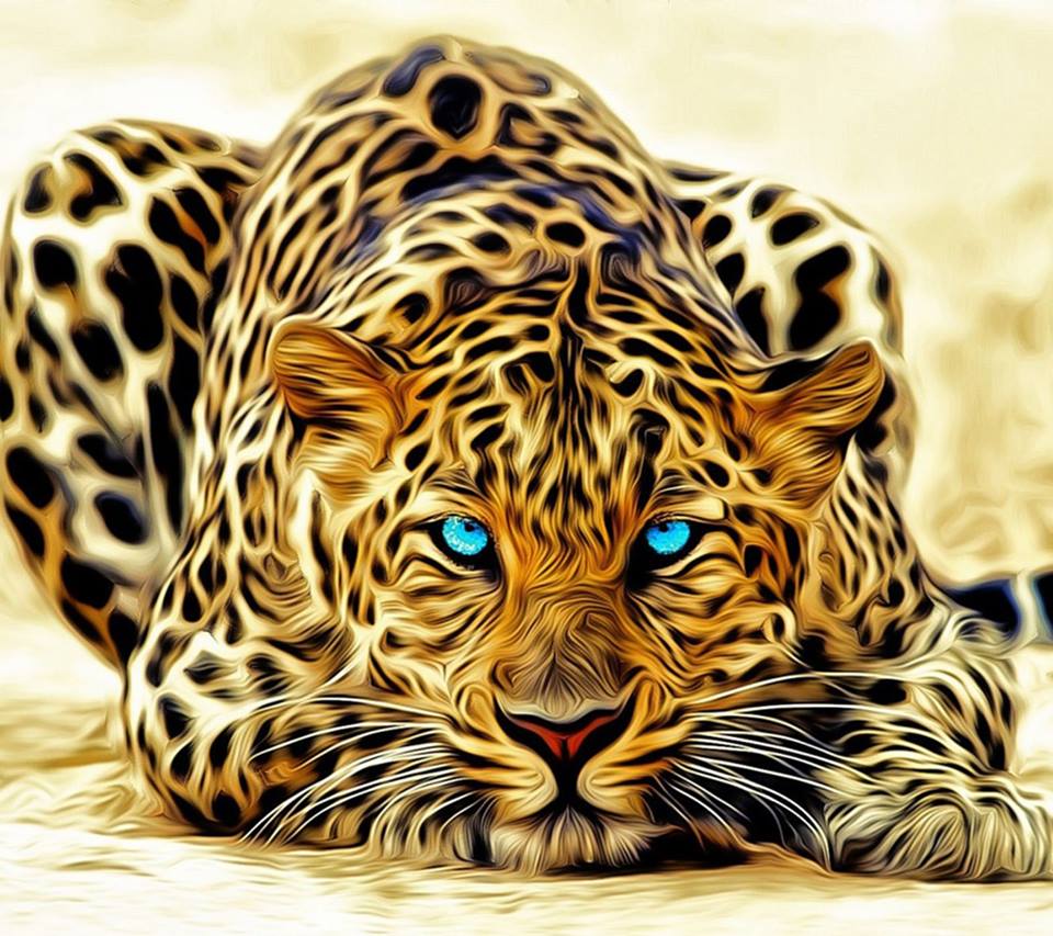 Big Cat Blank Template Imgflip