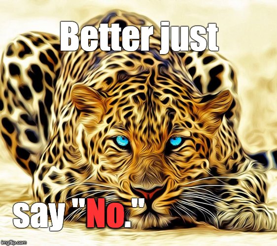 Sometimes, as the Playwright says, "Discretion is the better part of valor." | Better just; No; say "No." | image tagged in big cat,dare,just say no,i dare you,say that again i dare you | made w/ Imgflip meme maker