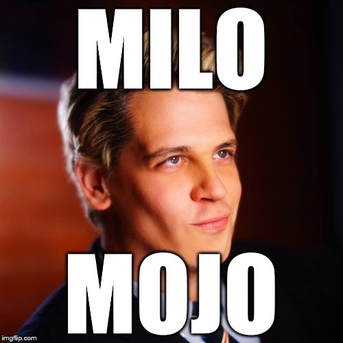 Milo Yiannopoulos | MILO MOJO | image tagged in milo yiannopoulos | made w/ Imgflip meme maker