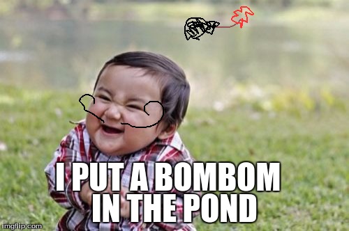 Evil Toddler | I PUT A BOMBOM; IN THE POND | image tagged in memes,evil toddler | made w/ Imgflip meme maker
