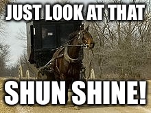 JUST LOOK AT THAT SHUN SHINE! | made w/ Imgflip meme maker