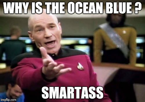 Picard Wtf Meme | WHY IS THE OCEAN BLUE ? SMARTASS | image tagged in memes,picard wtf | made w/ Imgflip meme maker
