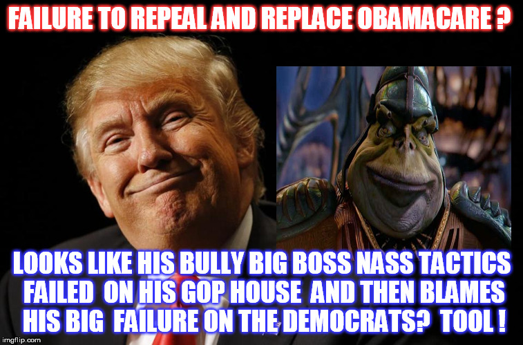 Bully Boy bites the Big One !! | FAILURE TO REPEAL AND REPLACE OBAMACARE ? LOOKS LIKE HIS BULLY BIG BOSS NASS TACTICS FAILED  ON HIS GOP HOUSE  AND THEN BLAMES HIS BIG  FAILURE ON THE DEMOCRATS?  TOOL ! | image tagged in donald trump,obamacare | made w/ Imgflip meme maker