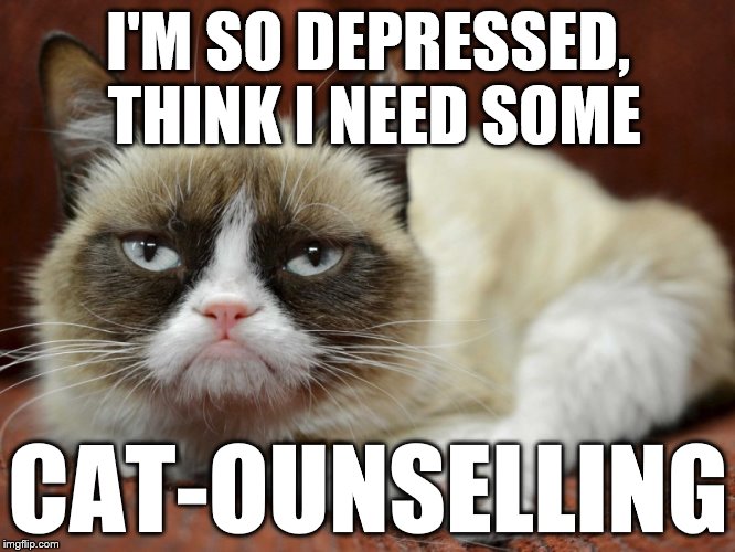 Can't be that bad Grumpy | I'M SO DEPRESSED, THINK I NEED SOME; CAT-OUNSELLING | image tagged in grumpy cat,cats,animals,memes,funny,jokes | made w/ Imgflip meme maker
