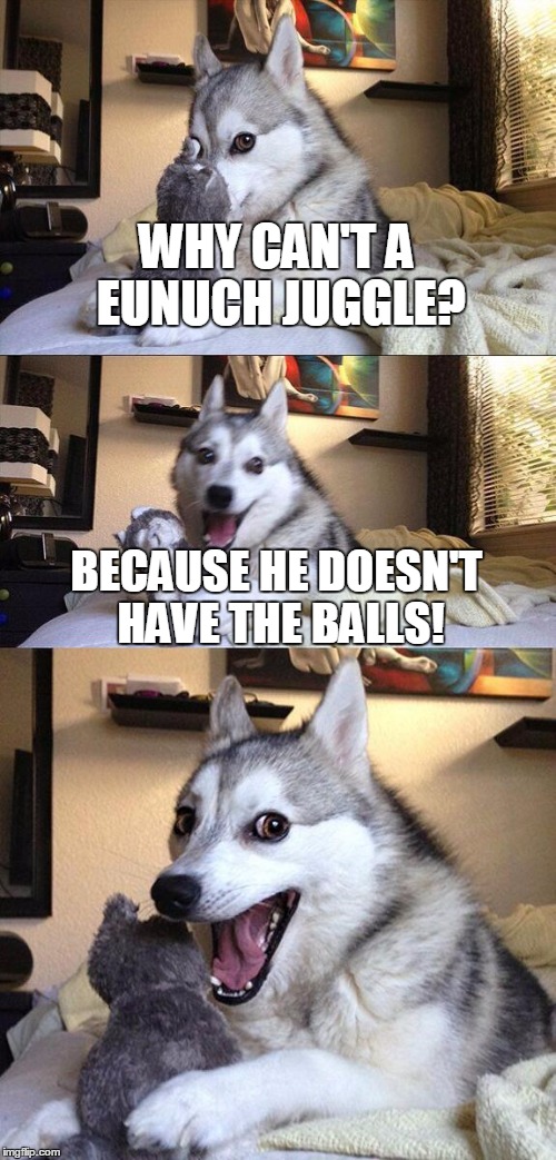 Bad Pun Dog Meme | WHY CAN'T A EUNUCH JUGGLE? BECAUSE HE DOESN'T HAVE THE BALLS! | image tagged in memes,bad pun dog | made w/ Imgflip meme maker