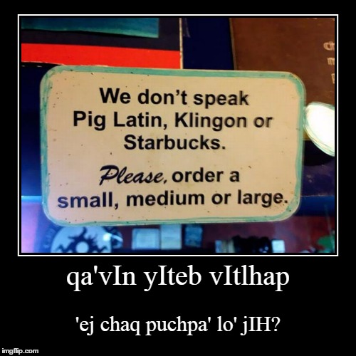 did you know you can find Klingon to English translation on the 'net?  :P | image tagged in funny,demotivationals,klingon,coffee,star trek | made w/ Imgflip demotivational maker