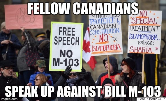 FELLOW CANADIANS; SPEAK UP AGAINST BILL M-103 | image tagged in freedom | made w/ Imgflip meme maker