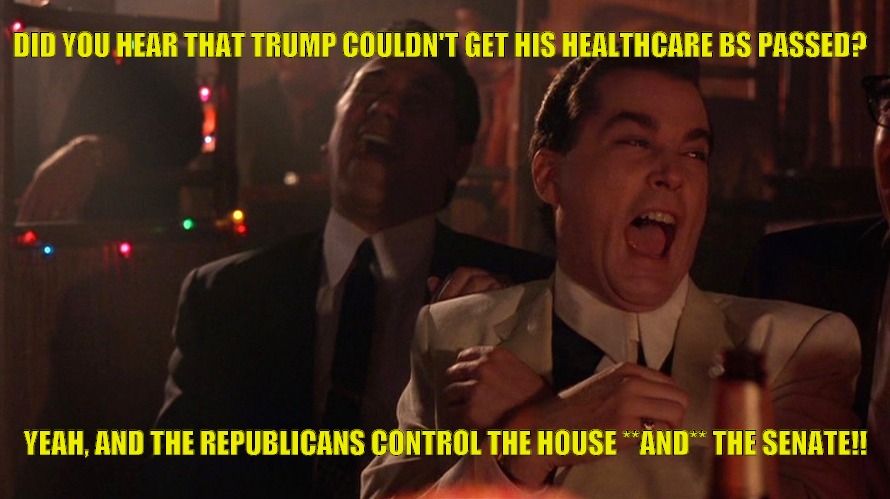 DID YOU HEAR THAT TRUMP COULDN'T GET HIS HEALTHCARE BS PASSED? YEAH, AND THE REPUBLICANS CONTROL THE HOUSE **AND** THE SENATE!! | image tagged in donald trump | made w/ Imgflip meme maker