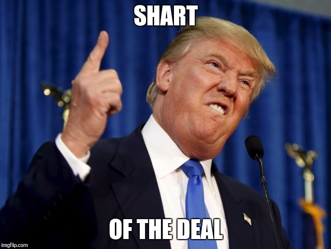 SHART; OF THE DEAL | image tagged in shart | made w/ Imgflip meme maker