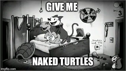 GIVE ME NAKED TURTLES | made w/ Imgflip meme maker