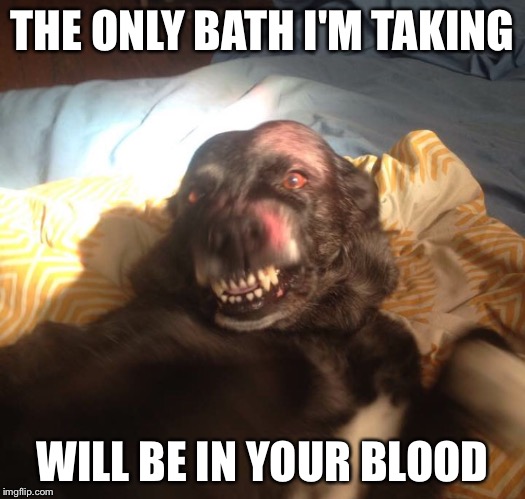 Demon Dog | THE ONLY BATH I'M TAKING; WILL BE IN YOUR BLOOD | image tagged in dog,demon,barking,funny,derpy,evil smile | made w/ Imgflip meme maker