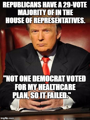 Serious Trump | REPUBLICANS HAVE A 29-VOTE MAJORITY OF IN THE HOUSE OF REPRESENTATIVES. "NOT ONE DEMOCRAT VOTED FOR MY HEALTHCARE PLAN, SO IT FAILED." | image tagged in serious trump | made w/ Imgflip meme maker