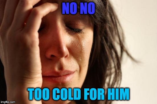 First World Problems Meme | NO NO TOO COLD FOR HIM | image tagged in memes,first world problems | made w/ Imgflip meme maker