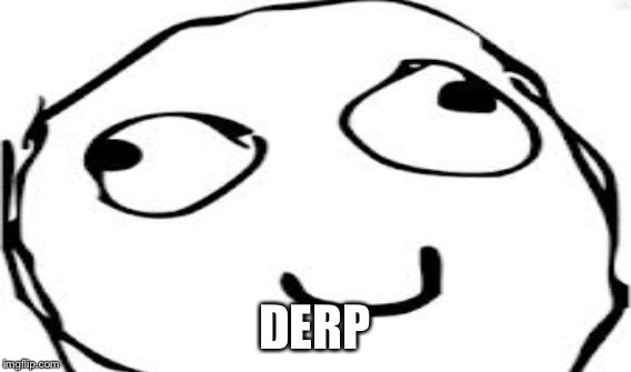 DERP | made w/ Imgflip meme maker