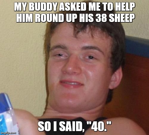 10 Guy | MY BUDDY ASKED ME TO HELP HIM ROUND UP HIS 38 SHEEP; SO I SAID, "40." | image tagged in memes,10 guy | made w/ Imgflip meme maker