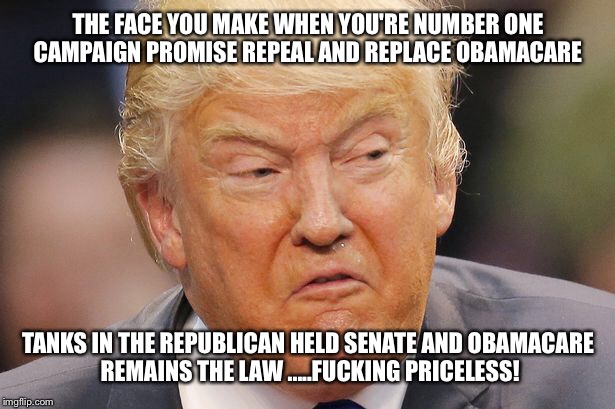 THE FACE YOU MAKE WHEN YOU'RE NUMBER ONE CAMPAIGN PROMISE REPEAL AND REPLACE OBAMACARE TANKS IN THE REPUBLICAN HELD SENATE AND OBAMACARE REM | made w/ Imgflip meme maker