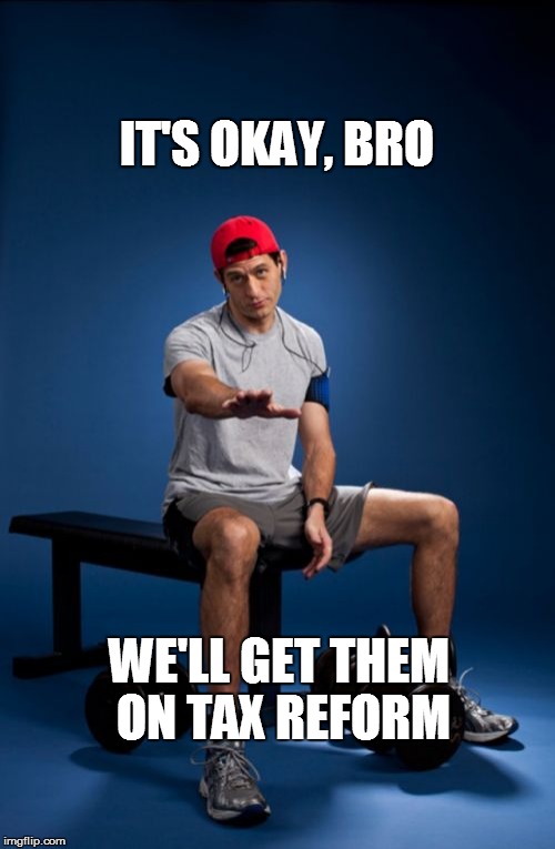 Paul Ryan | IT'S OKAY, BRO; WE'LL GET THEM ON TAX REFORM | image tagged in memes,paul ryan | made w/ Imgflip meme maker