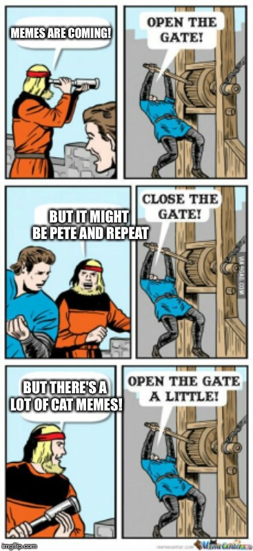 Open the gate a little | MEMES ARE COMING! BUT IT MIGHT BE PETE AND REPEAT; BUT THERE'S A LOT OF CAT MEMES! | image tagged in open the gate a little | made w/ Imgflip meme maker