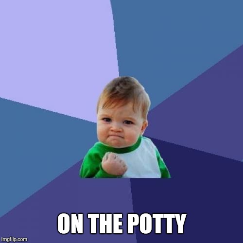 Success Kid Meme | ON THE POTTY | image tagged in memes,success kid | made w/ Imgflip meme maker