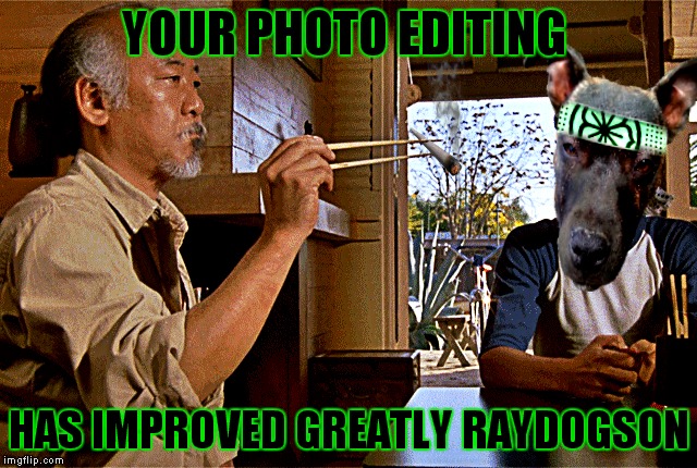 YOUR PHOTO EDITING HAS IMPROVED GREATLY RAYDOGSON | made w/ Imgflip meme maker