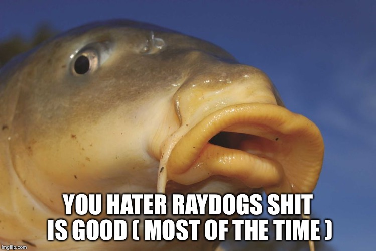 Carp | YOU HATER RAYDOGS SHIT IS GOOD ( MOST OF THE TIME ) | image tagged in carp | made w/ Imgflip meme maker