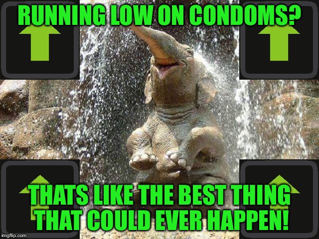 Upvote Elephant | RUNNING LOW ON CONDOMS? THATS LIKE THE BEST THING THAT COULD EVER HAPPEN! | image tagged in upvote elephant | made w/ Imgflip meme maker
