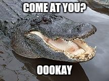 Alligator Wut | COME AT YOU? OOOKAY | image tagged in alligator wut | made w/ Imgflip meme maker