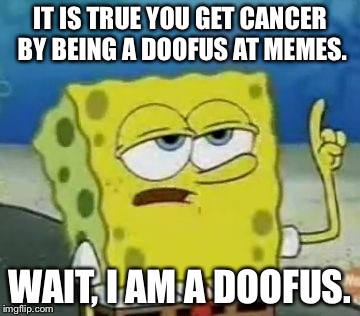 I'll Have You Know Spongebob Meme | IT IS TRUE YOU GET CANCER BY BEING A DOOFUS AT MEMES. WAIT, I AM A DOOFUS. | image tagged in memes,ill have you know spongebob | made w/ Imgflip meme maker
