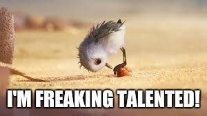 Talents | N | image tagged in birds | made w/ Imgflip meme maker