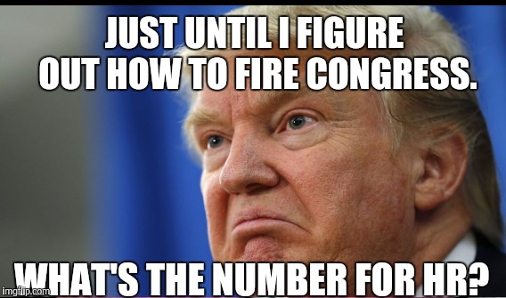 JUST UNTIL I FIGURE OUT HOW TO FIRE CONGRESS. WHAT'S THE NUMBER FOR HR? | made w/ Imgflip meme maker