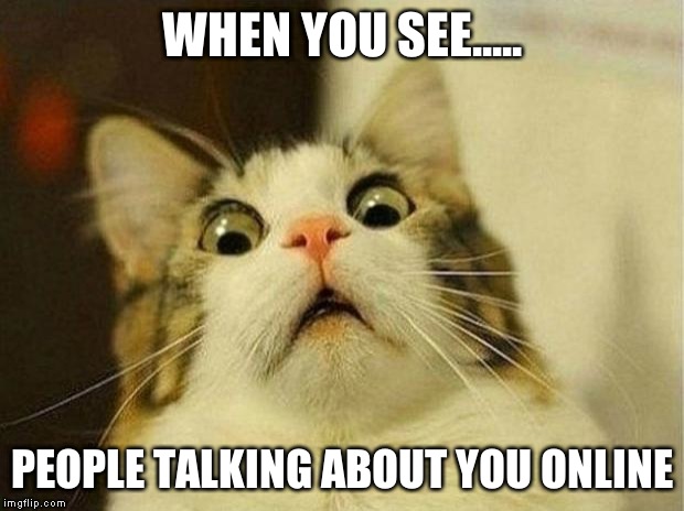 Scared Cat | WHEN YOU SEE..... PEOPLE TALKING ABOUT YOU ONLINE | image tagged in memes,scared cat | made w/ Imgflip meme maker