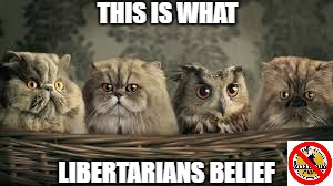 This Is What Libertarians Belief | THIS IS WHAT; LIBERTARIANS BELIEF | image tagged in this is what libertarians believe,libertarian,party,libertarians,memes,belief | made w/ Imgflip meme maker
