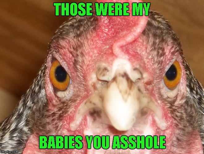 THOSE WERE MY BABIES YOU ASSHOLE | made w/ Imgflip meme maker